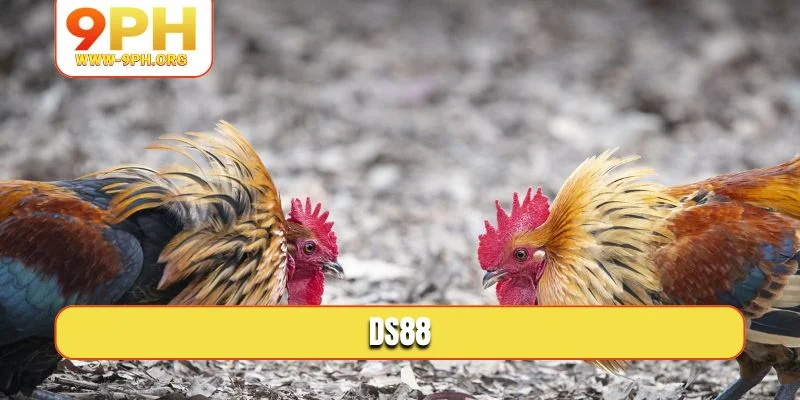 DS88