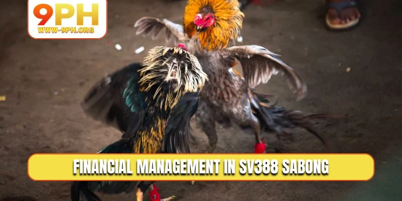 Financial management in SV388 Sabong