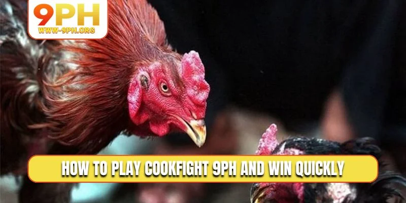 How to play Cookfight 9PH and win quickly