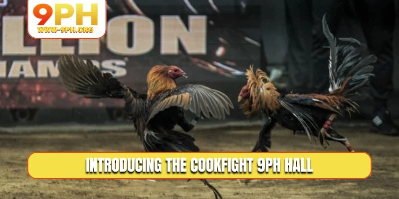 Introducing the Cookfight 9PH hall