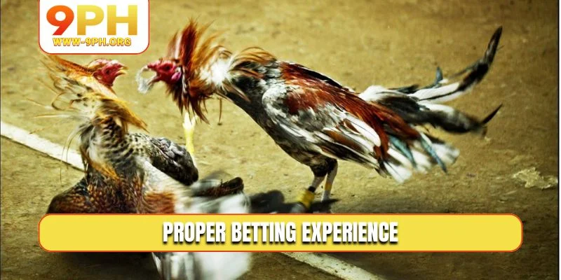 Proper betting experience