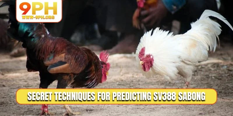 Secret techniques for predicting SV388 Sabong