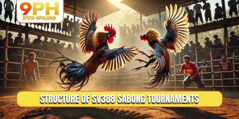 Structure of SV388 Sabong tournaments
