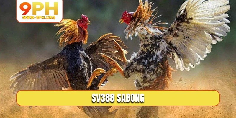 SV388 Sabong