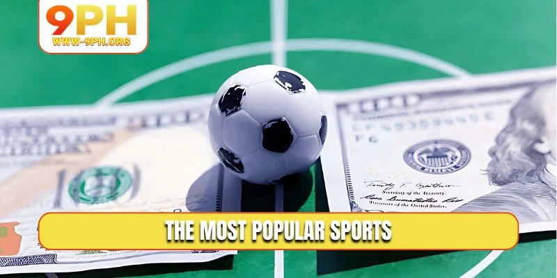 The most popular sports