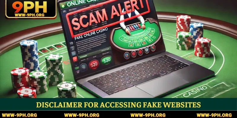 Disclaimer for accessing fake websites