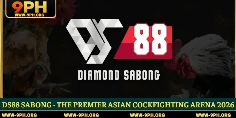 DS88 Sabong