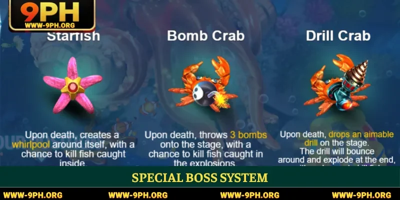 Special boss system