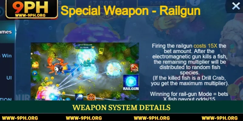 Weapon system details